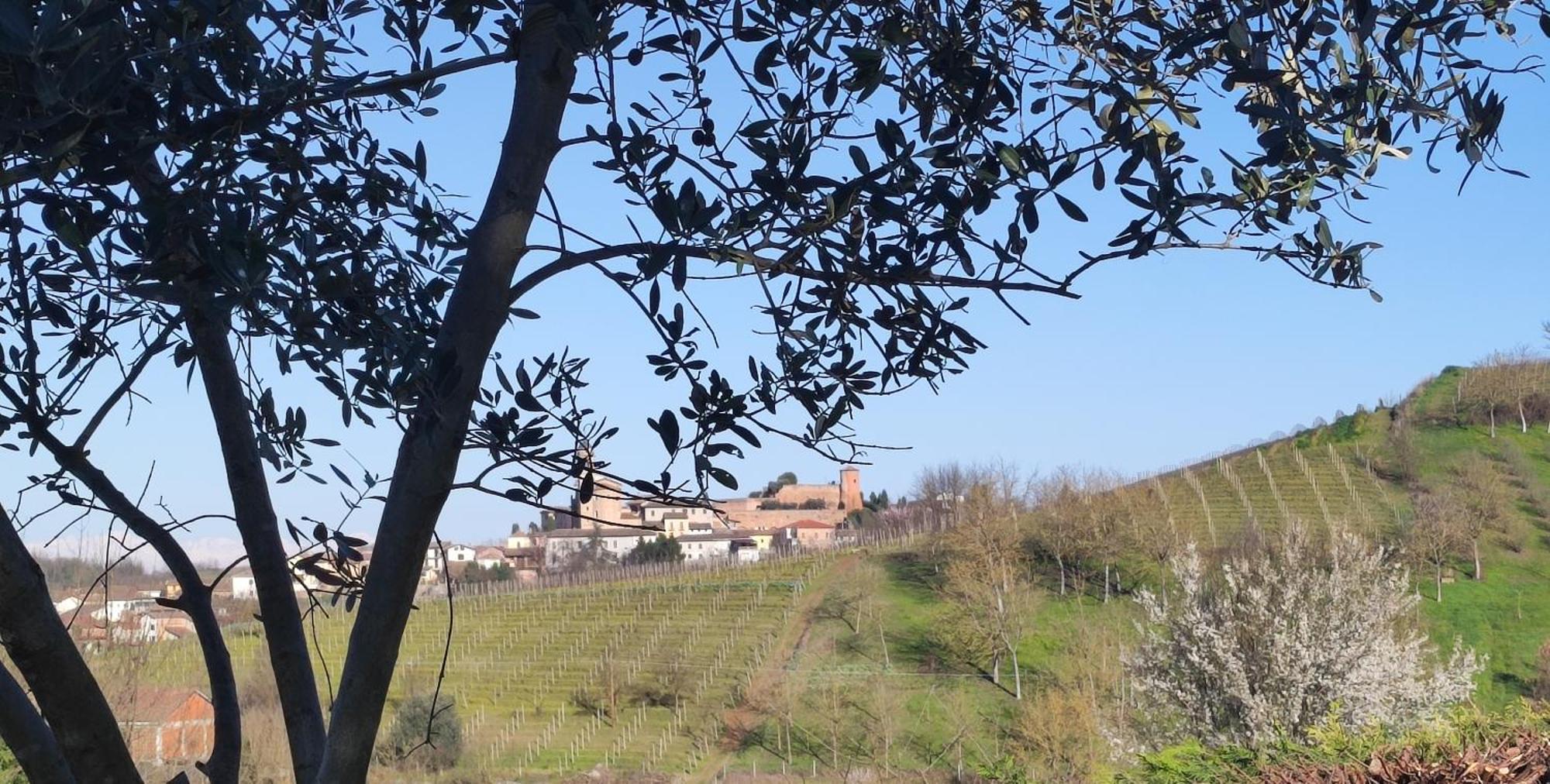 Casa San Rocco Villa Castelnuovo  Bagian luar foto